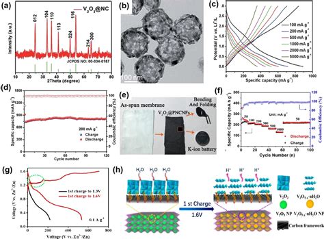  Vanaduumoxide Nanodeeltjes: Revolutionaire Catalysatoren voor een Groener Morgen?